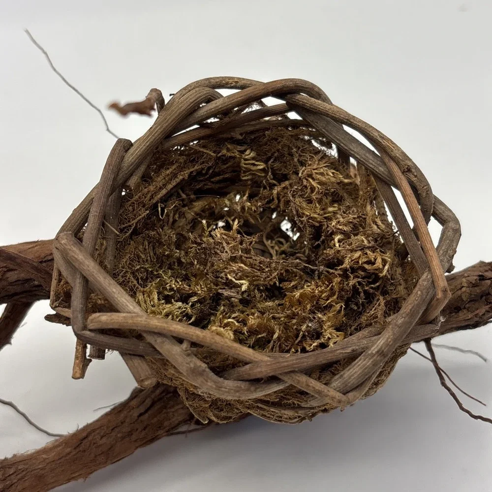 Bird nest  Garden decorations, home, floral accent, crafts, center piece